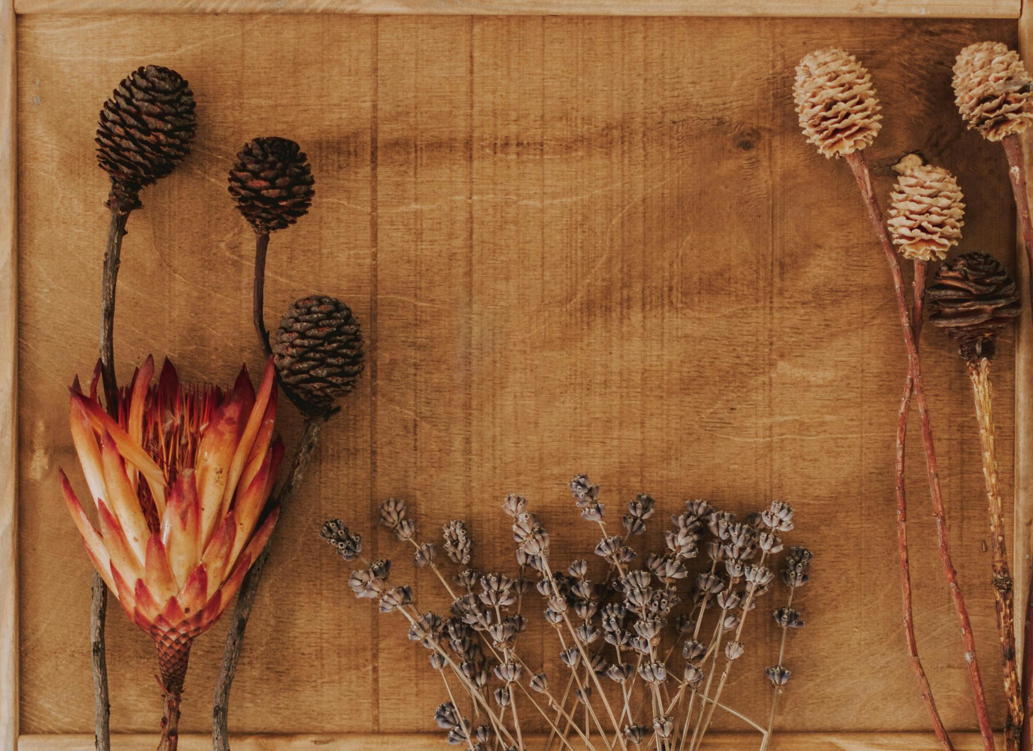 fleurs séchées sur table