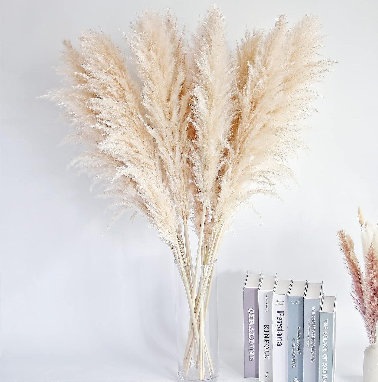 pampas fleurs dans vases